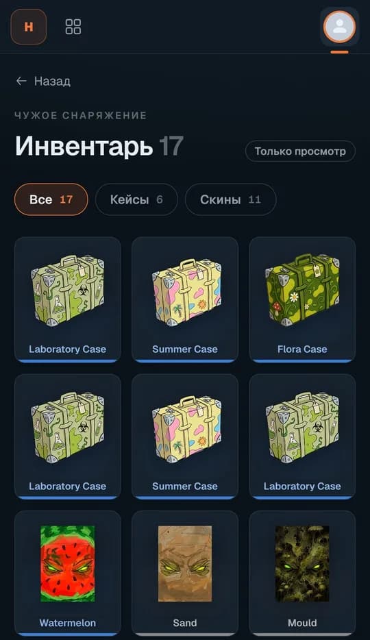 Инвентарь: кейсы и скины